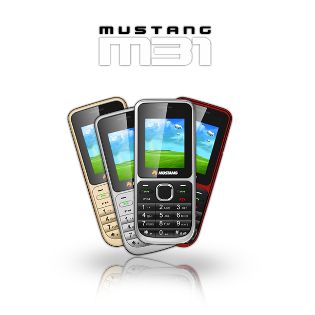   Mobile Mustang M31 ARGENT Dual SIM Débloqué Photo Bluetooth